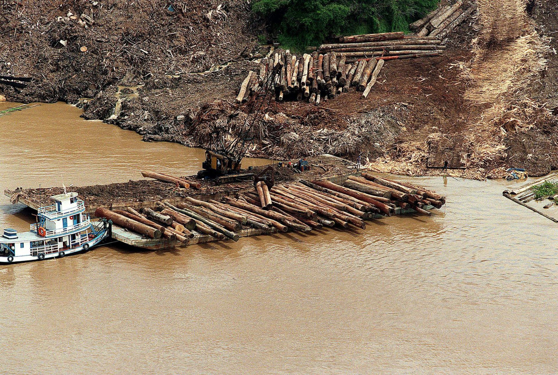 BRASIL - DEFORESTACIÓN AMAZONÍA