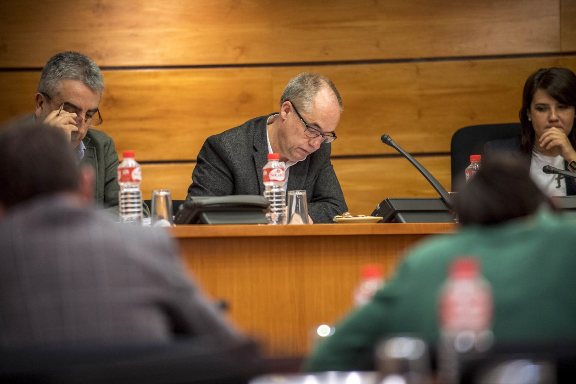 VICECONSEJERO DE MEDIO AMBIENTE