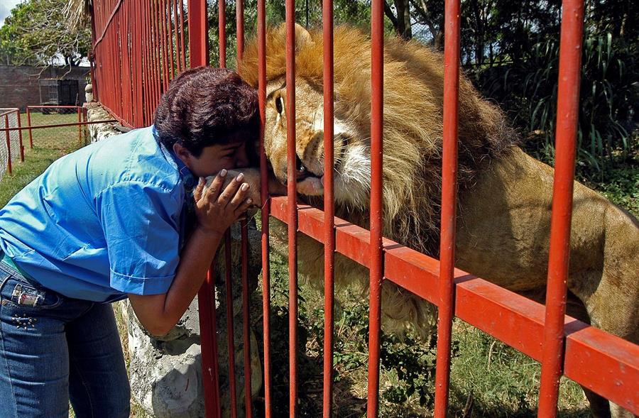 8a17c7230cf68661ba5a4334d0530515a5689931w