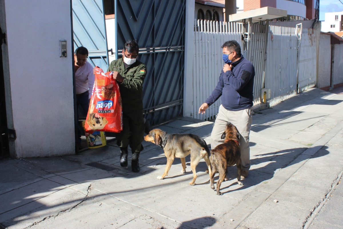 La cuarentena vacía ciudades pero saca el cariño con los perros callejeros