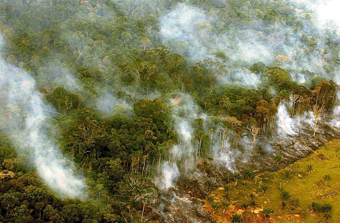 BRASIL AMAZONIA