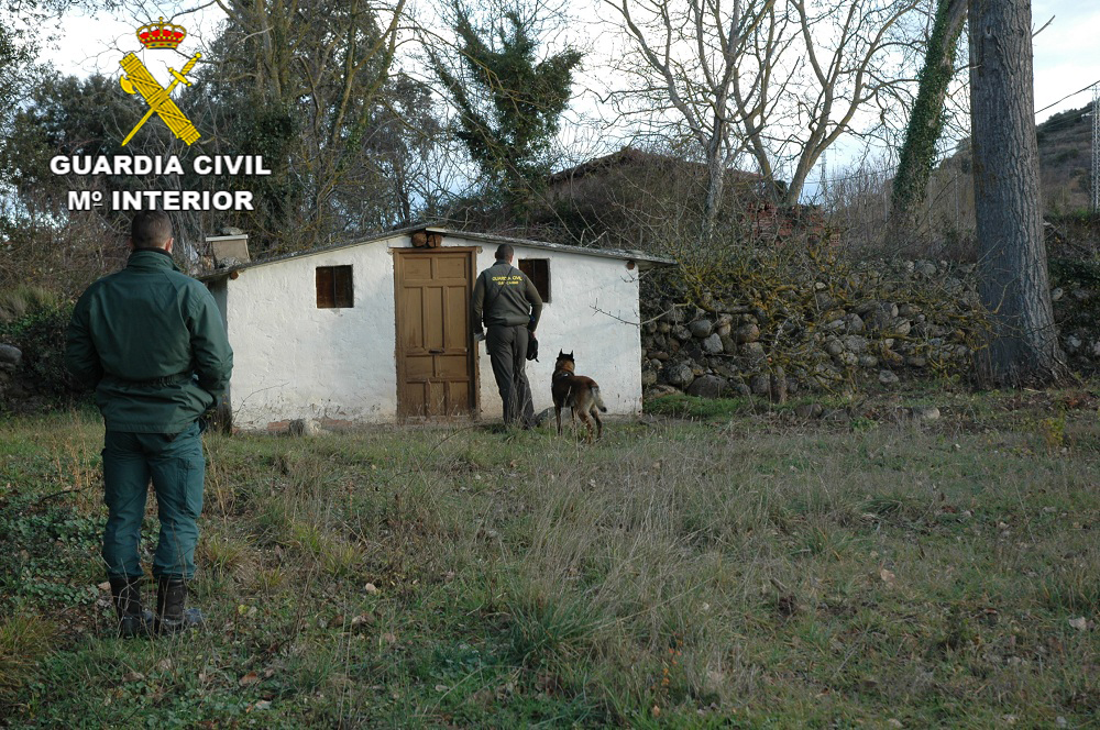 cebos envenenados