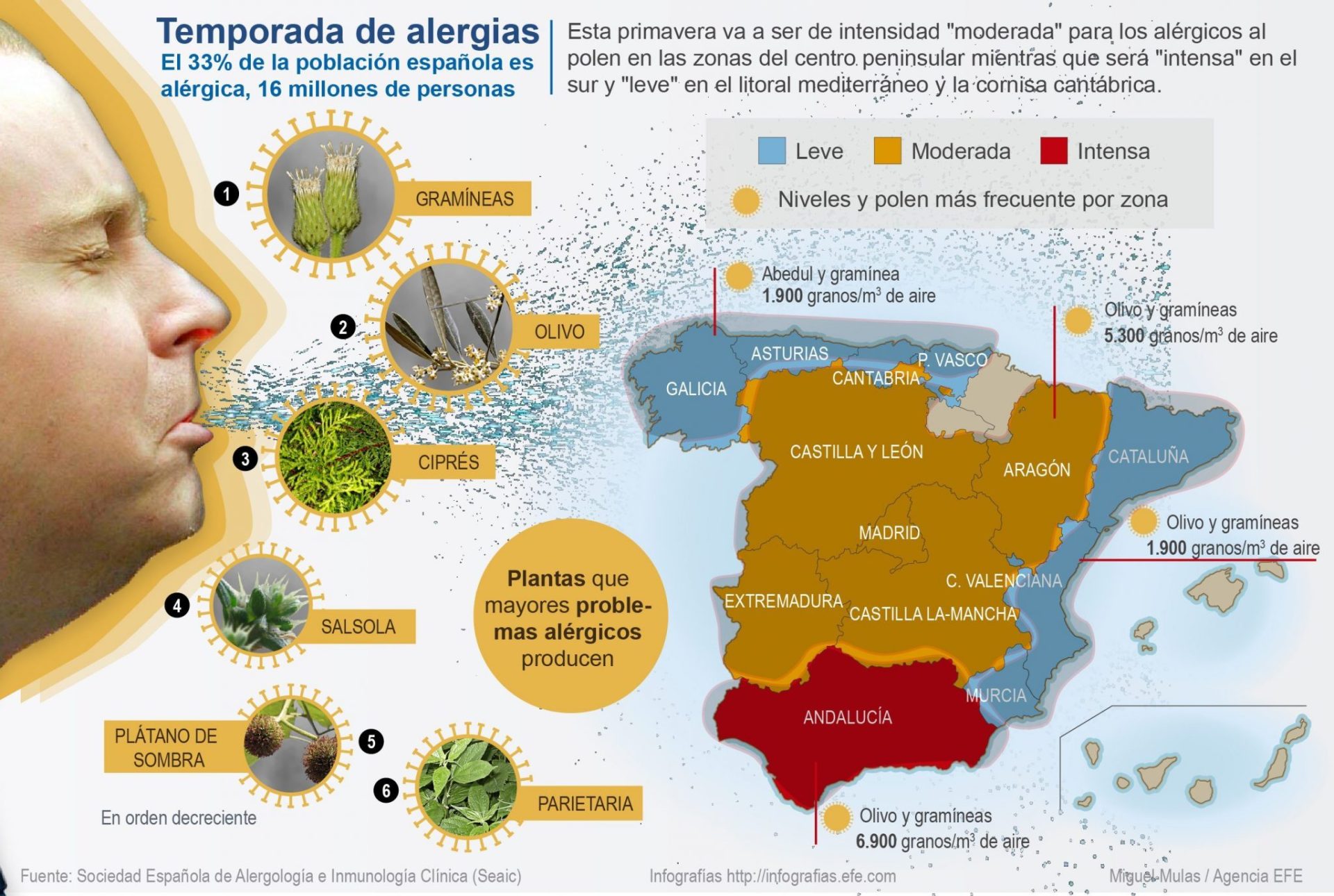 #DeunVistazo. Alergias