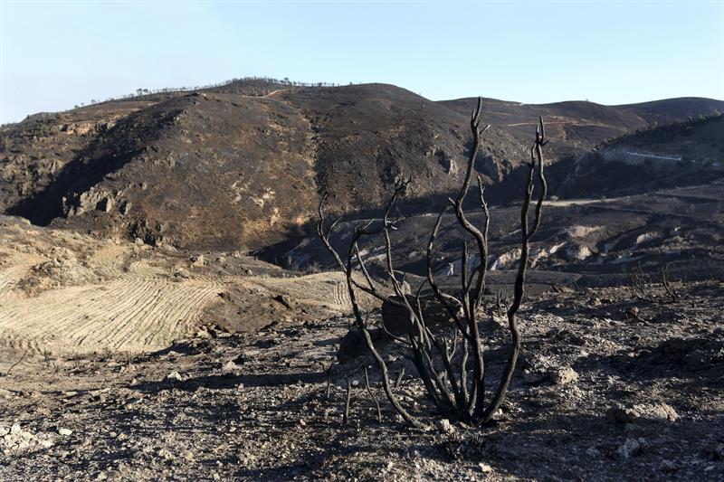 Efectos en la Sierra de Gador en Almería del incendio que comenzó el sábado pasado y aun continua activo.