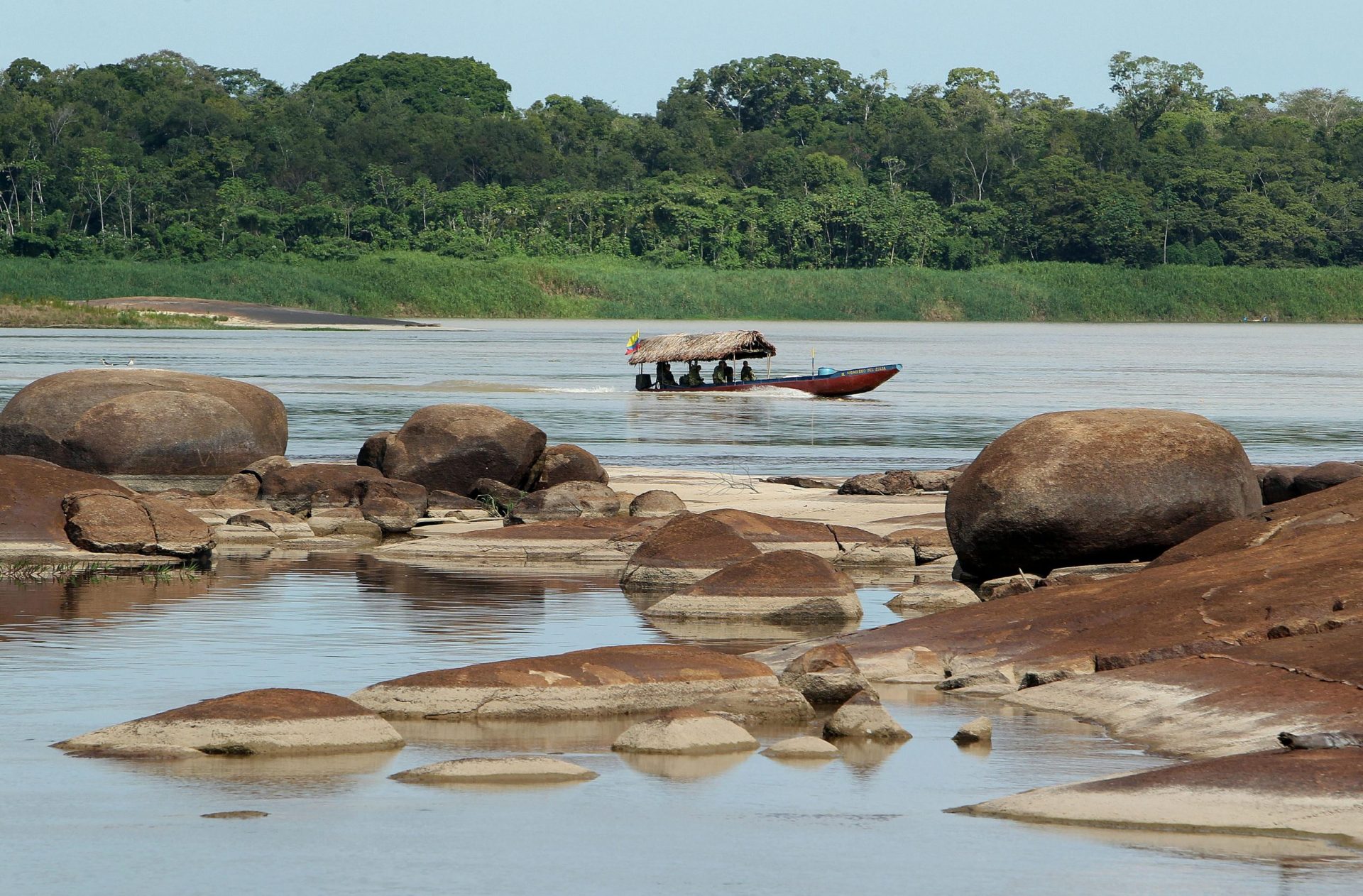 caimán del Apaporis