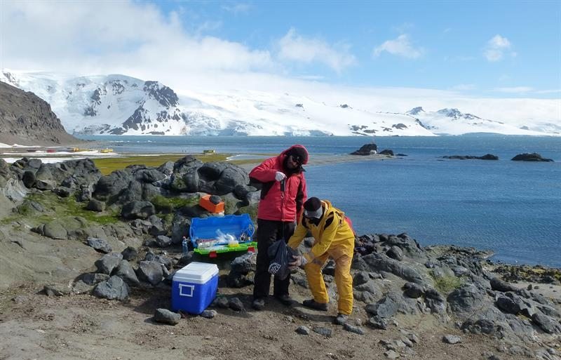 Fotografía cedida por la Universidad de Concepción (Chile) que muestra a dos científicos pesando un pingüino en la Isla Rey Jorge (Antártida). 
