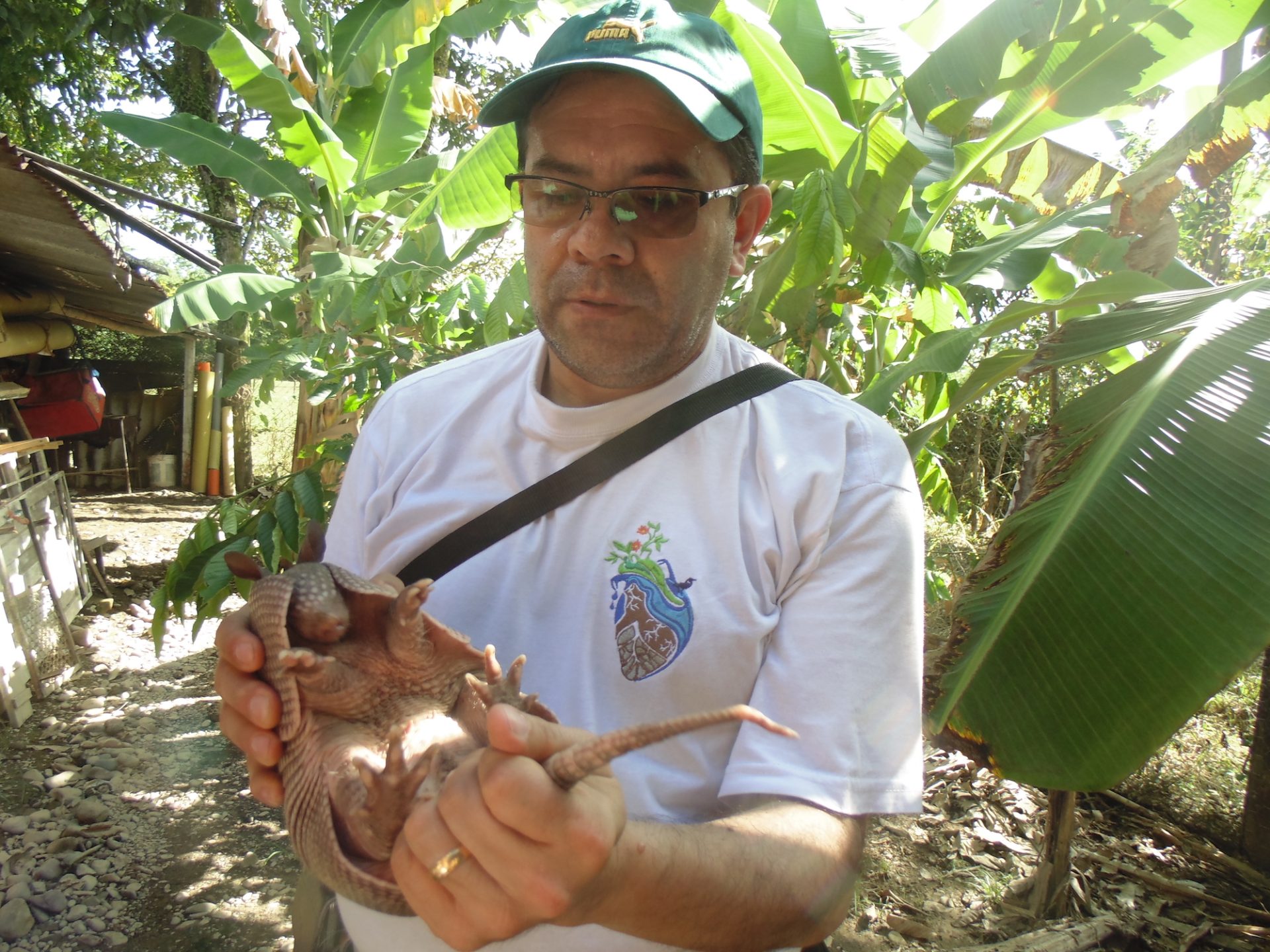 Hipopótamos en Colombia. Germán Jiménez trabaja en manejo y conservación de fauna silvestre. Foto: Germán Jiménez.