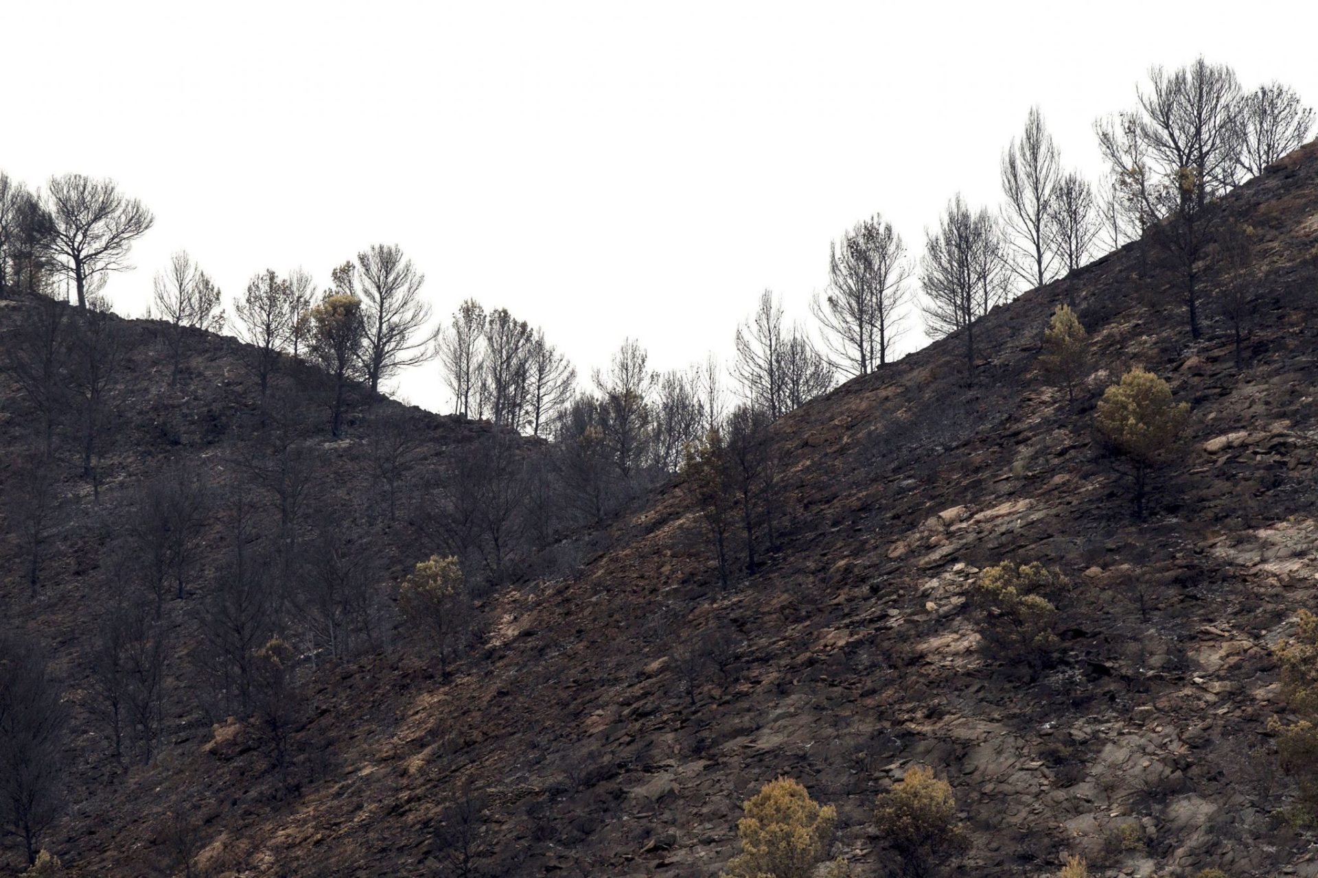 Dan por estabilizado el incendio que asola Artana y el parque Sierra del Espadán.
