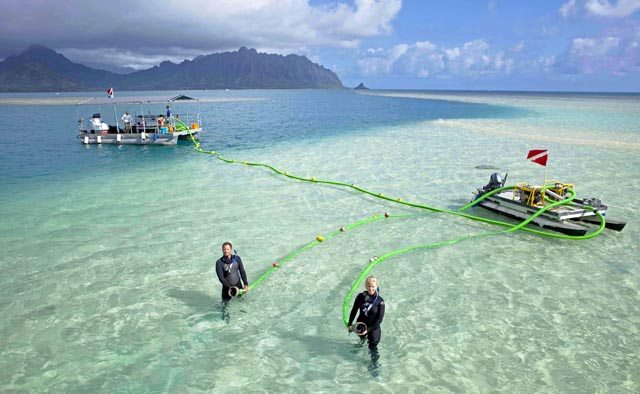 Aspiradoras usadas por los científicos de TNC para limpiar el arrecife de coral de Kanehone (Hawai) de especies invasoras. Foto de The Nature Conservancy