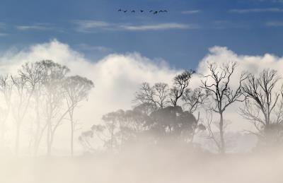 Niebla sobre Launceston, Tasmania