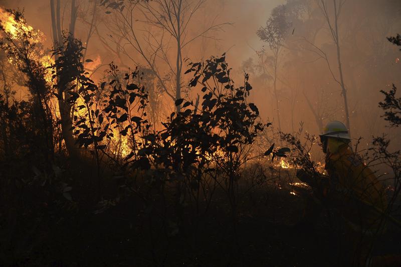 Bomberos continúan con los trabajos de extinción del incendio en Mt Wilson cerca de las Montañas Azules al oeste de Sídney (Australia) este jueves 24 de octubre de 2013.
