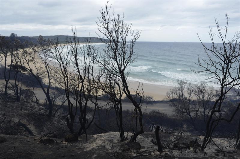La vegetación de la Bahía de Catherine Hill ha quedado calcinada por las llamas en uno de los incendios declarados en Nueva Gales del Sur en Australia hoy, viernes 18 de octubre de 2013.