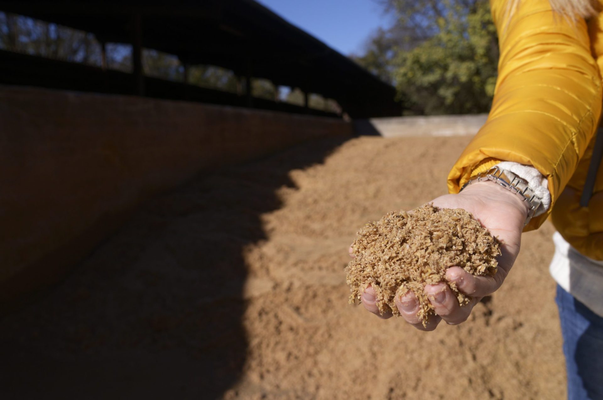 Imagen cedida por Damm del bagazo en La Fageda. EFE