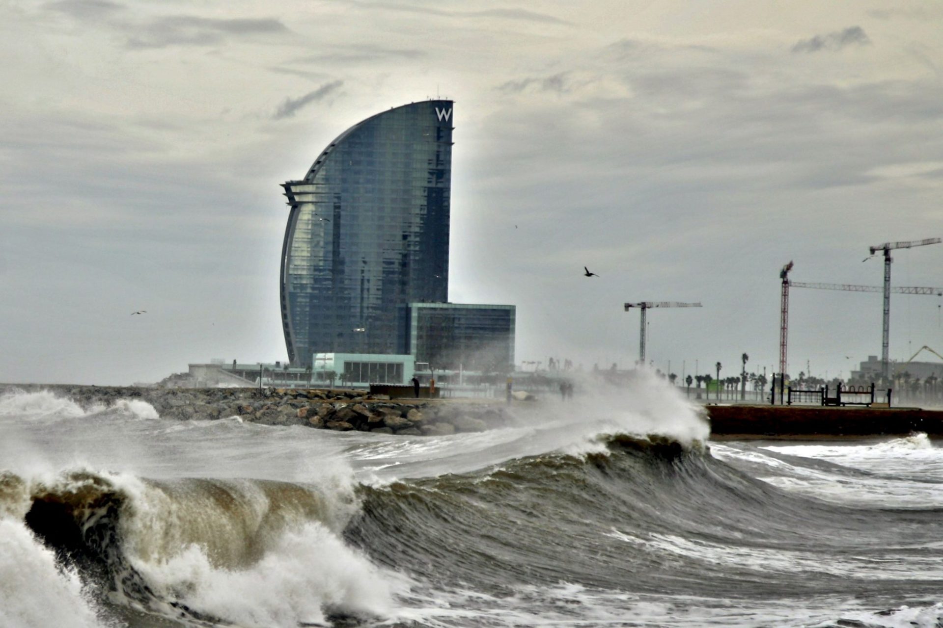 playa de la Barceloneta (Barcelona)