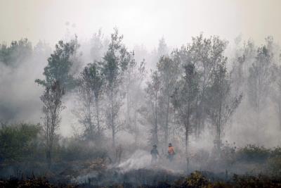 Uno de los incendios que asolan Borneo este mes.