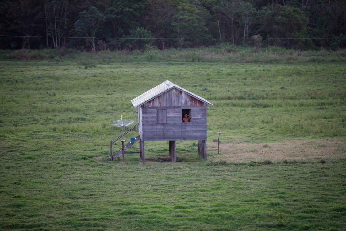 Palafito en la ribera del río Amazonas brasileño