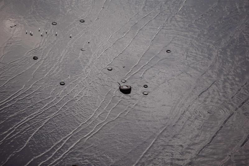 La petición de socorro del complejo de lagunas de Jacarepaguá fue lanzado por los ambientalistas ante el hallazgo en los últimos cuatro días de al menos cinco caimanes muertos por causas desconocidas. 
