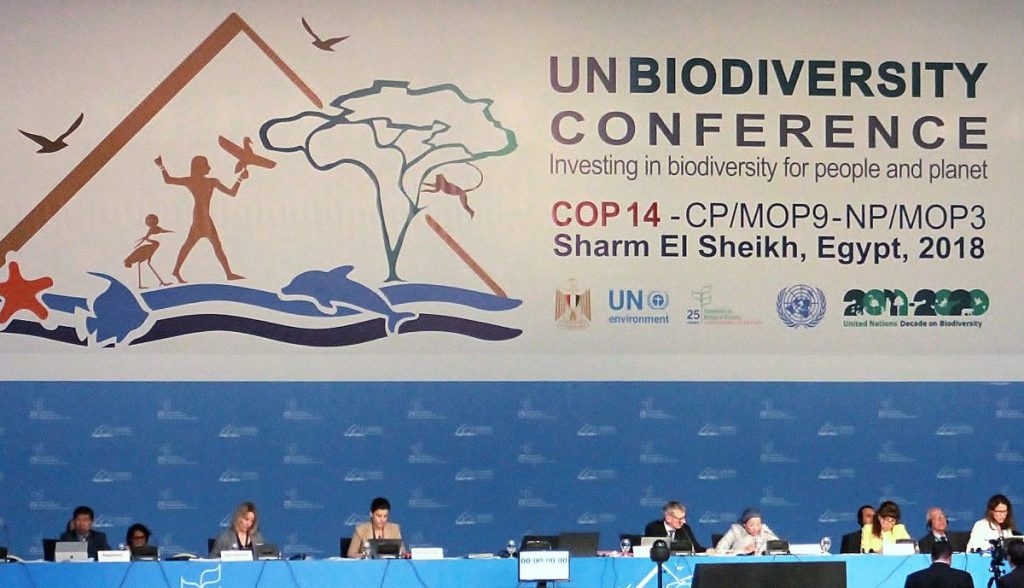 La COP de la Biodiversidad cierra con hoja de ruta para nuevo acuerdo ...