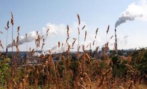 Foto que muestra una de las fábricas para procesar madera y transformarla en papel en la isla de Vancouver (Canadá)