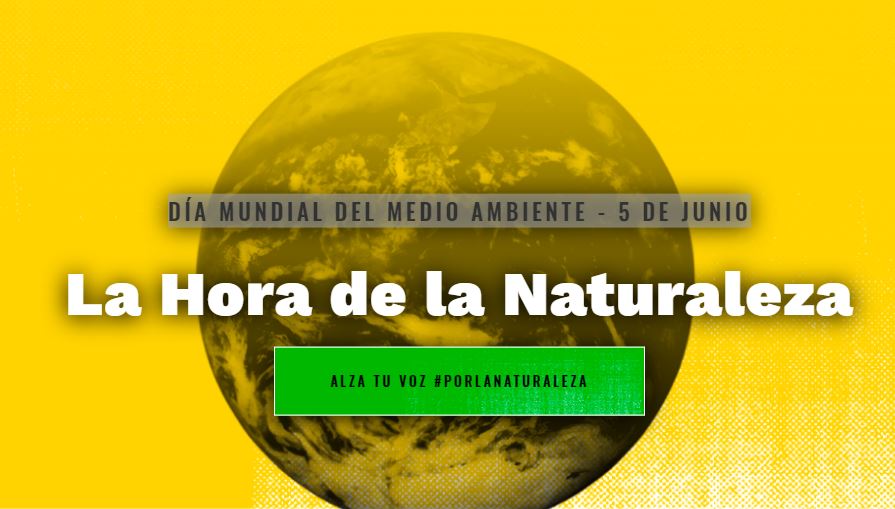 Colombia Día Medio Ambiente