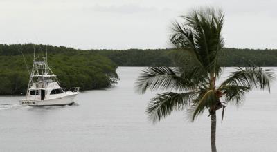 Vista de Whale Harbor, en los Cayos de Florida.