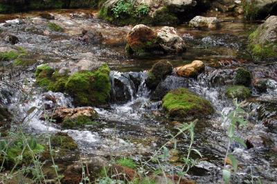 Pendiente el de las Sierras de Cazorla, Segura y las Villas, el mayor espacio protegido de España. con más de 210.000 hectáreas. 