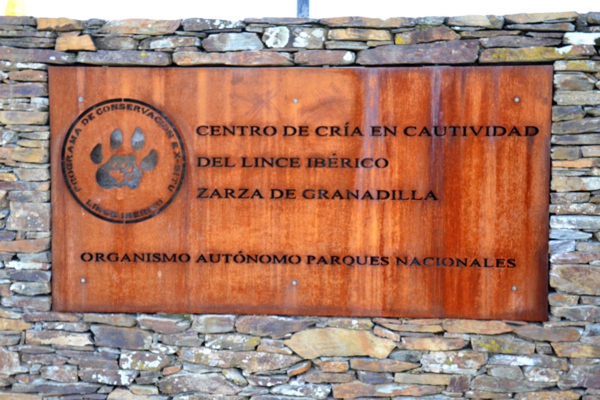Centro de cría en cautividad del lince ibérico de Zarza de Granadilla (Cáceres). Foto: Raúl Casado (EFE)