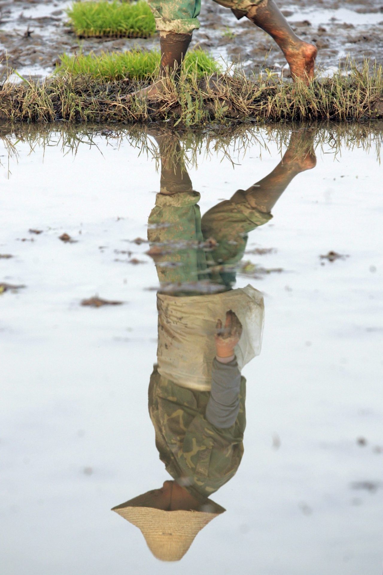 El agua de un campo de arroz refleja la silueta de un agricultor en Ningbo.