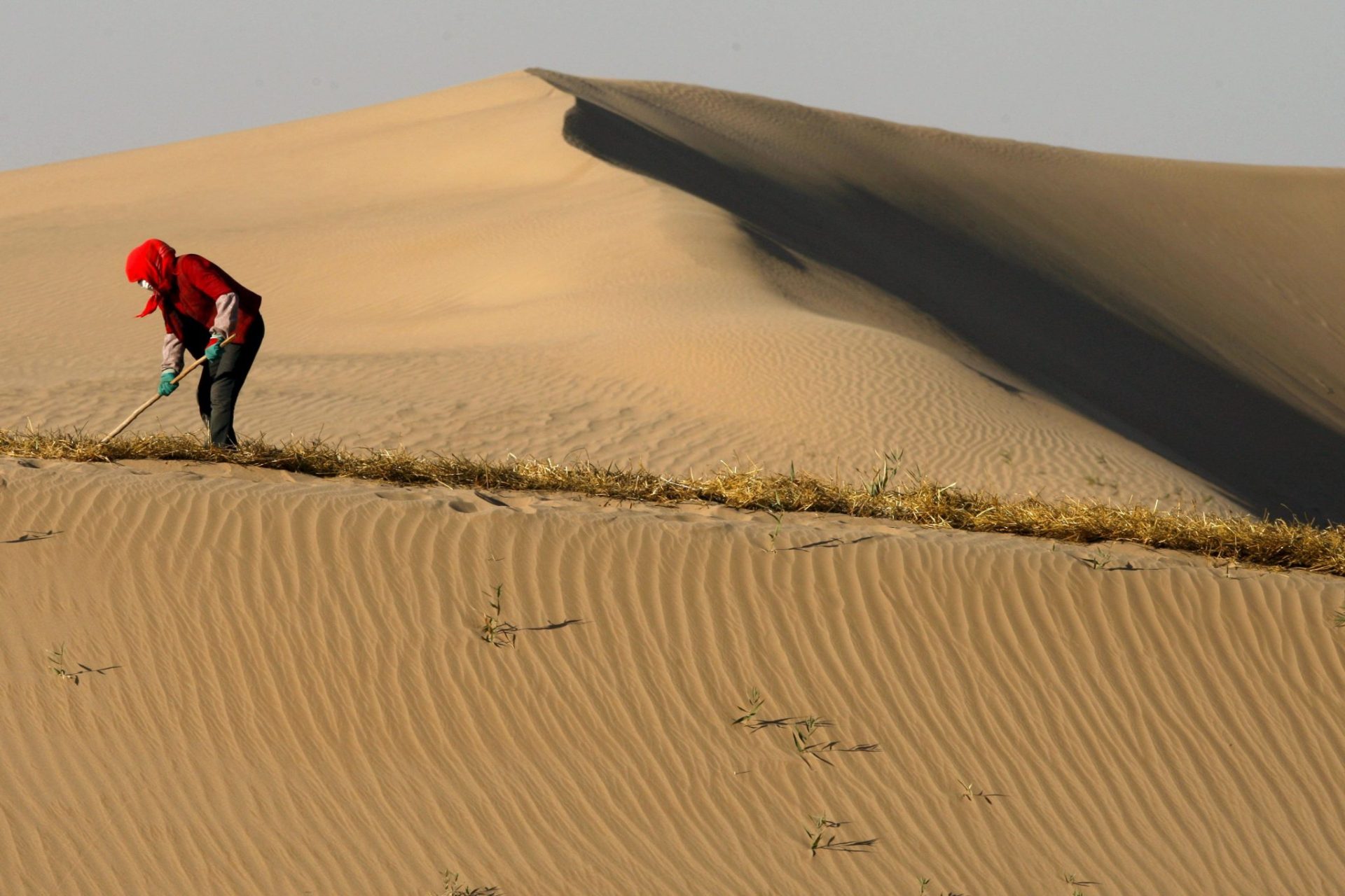 barreras biológicas con heno para estabilizar las dunas y prevenir la desertización en el desierto de Tengger, en Minqin