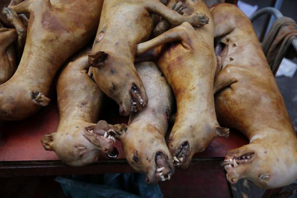 na comerciante vende carne de perro en un mercado de la ciudad de Yulin, provincia Guangxi, China, hoy. EFE/Wu Hong