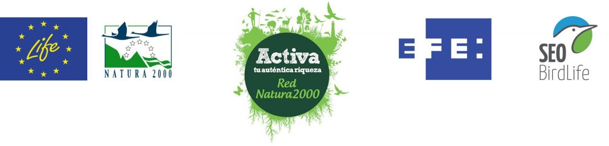 Combo para noticias web