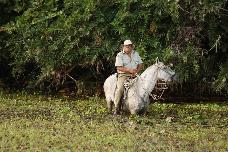 un guarda parques a caballo en la laguna del parque Palo Verde, en Guanacaste. 