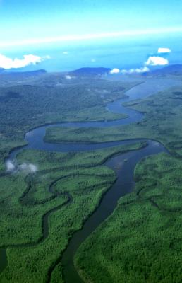 bosques-rios -Costa Rica