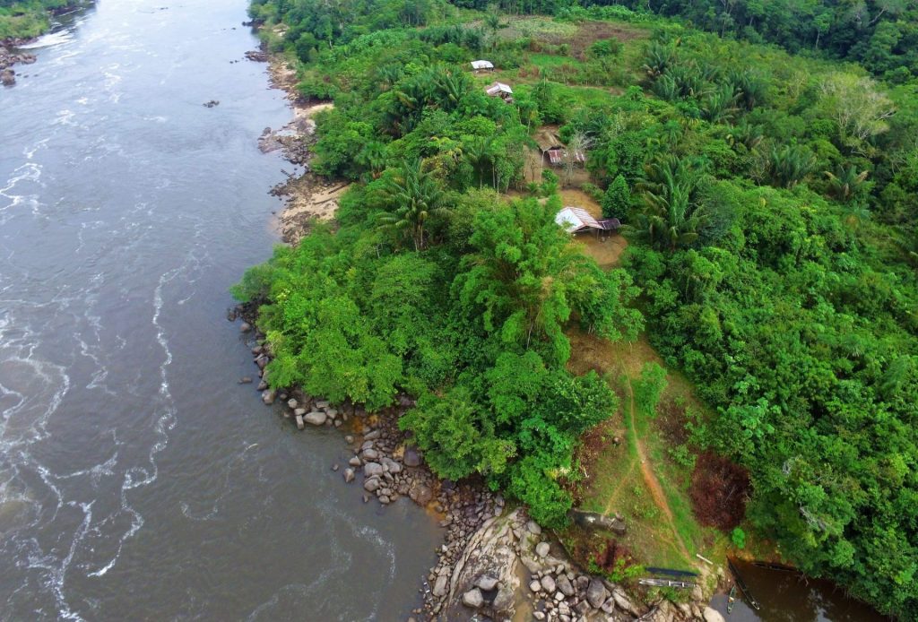 Fotografía cedida por Fundación SAVING THE AMAZON. EFE
