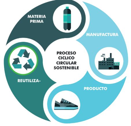 Infografía del ciclo de reciclado del plástico PET de las botellas con las que se fabrican las zapatillas Doly. DOLY 
