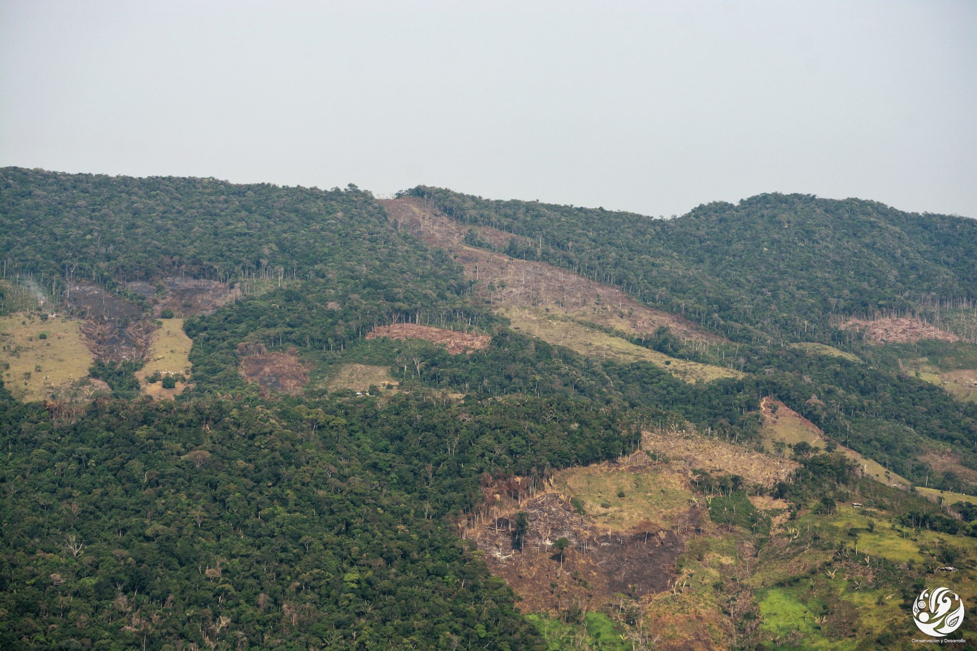 Deforestación parque Tinigua. Deforestación Amazonía norte colombiana. Foto: Fundación para la Conservación y el Desarrollo Sostenible (FCDS).