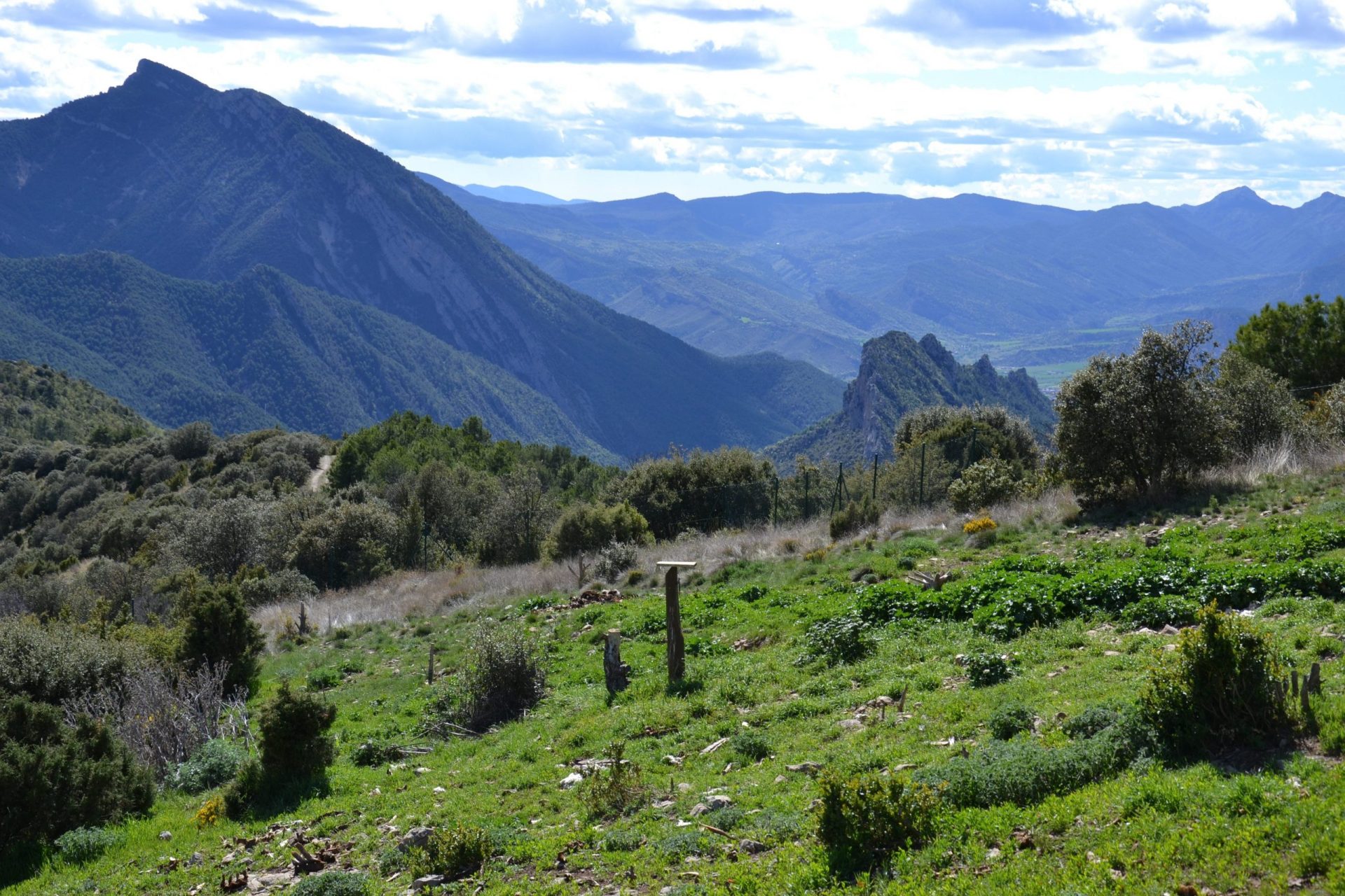 Imagen del Valle de Alinyá, en el prepirineo ilerdense. Foto: Raúl Casado/EFE