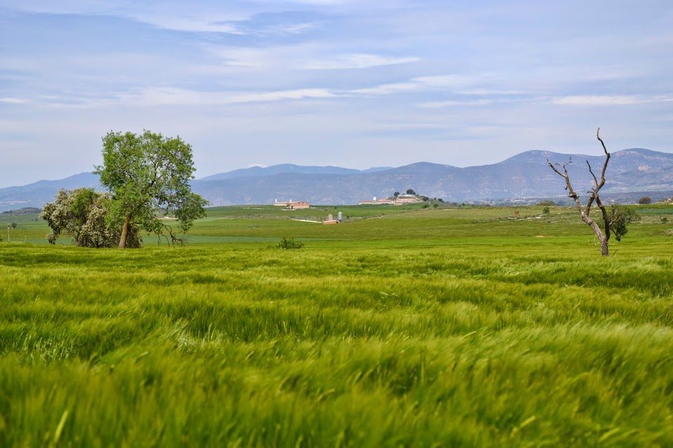 Imagen de terrenos agrícolas -incluidos en la red europea Natura 2000- en la provincia de Lérida. Foto Raúl Casado (EFE)