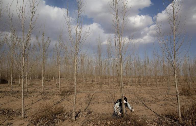 desertificación en el mundo