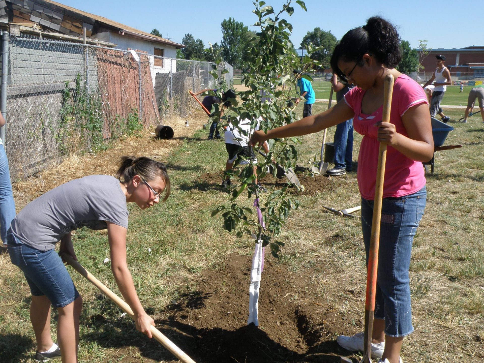 Escolares de origen latino plantan árboles en su colegio en Denver (Colorado).