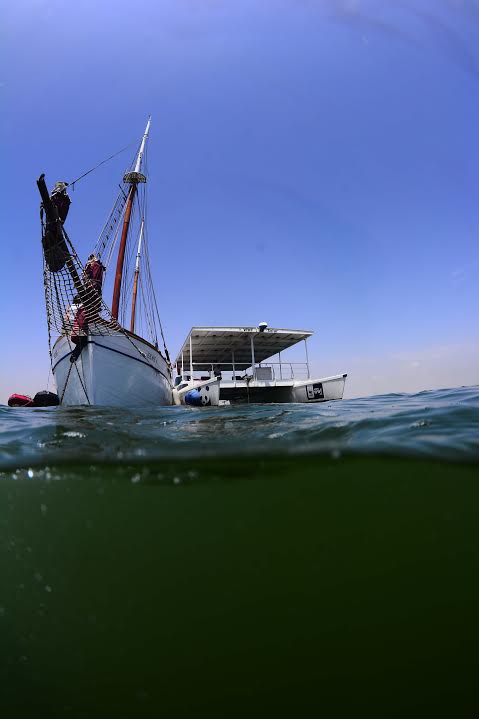 El velero Else , de ANSE, y el catamarán WWF Solar, ayer en aguas del Mar Menor (Murcia)