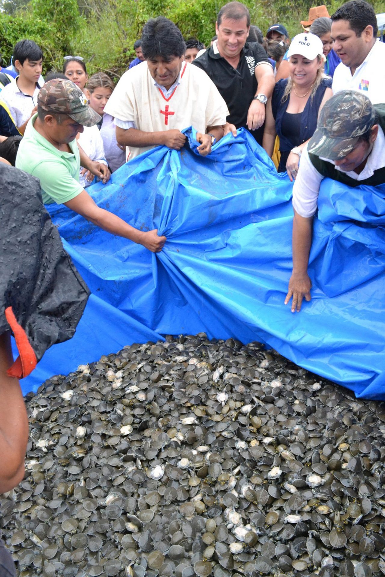 Liberación de 70.000 crías de tortugas en río Amazonía boliviana. EFE/AGENCIA BOLIVIANA INFORMACIÓN