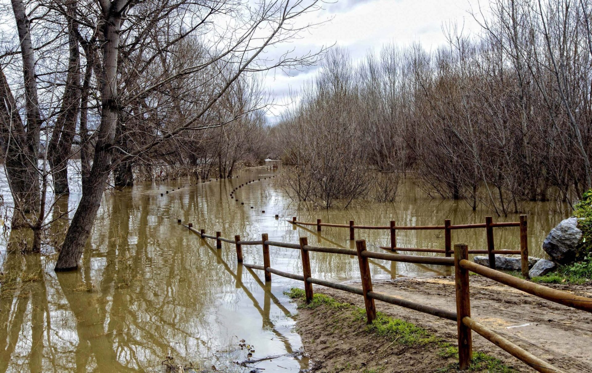 un caudaloso  Ebro pasa por Logroño en una foto de archivo.