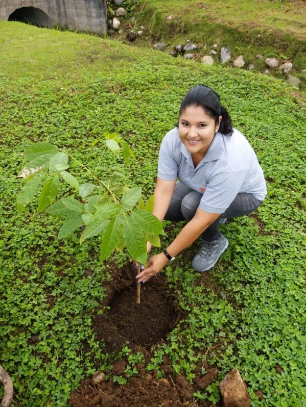 La Universidad ecuatoriana de IKIAM celebró el Día Nacional del Árbol plantando 900 ejemplares de variedades autóctonas. 