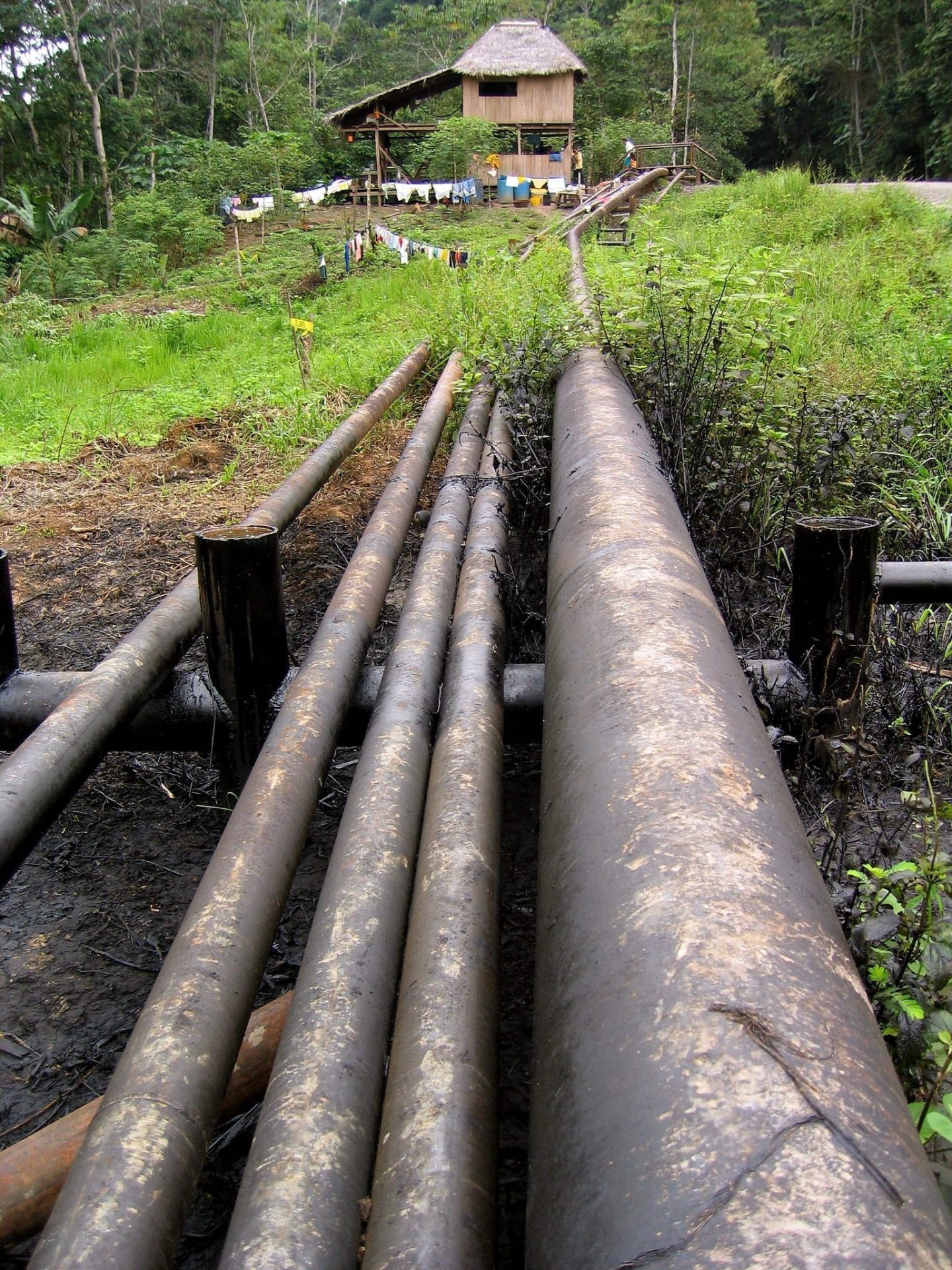 Oleoductos pasan junto a una vivienda en la región amazónica del Parque Nacional Yasuní, Ecuador.