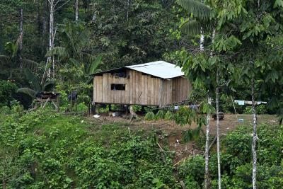 Una vivienda indígena en Pambilar, en la región ecuatoriana del Chocó.