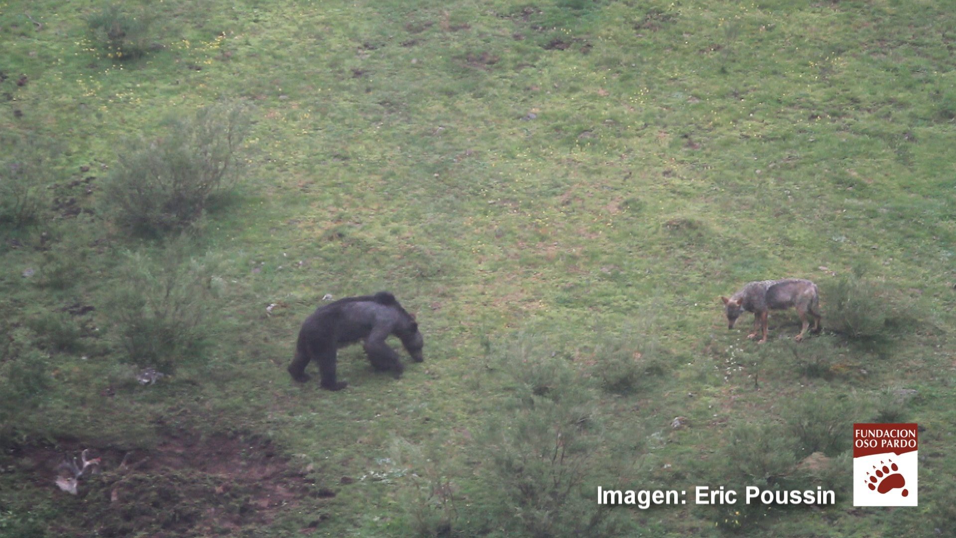 Imágenes (procedentes del video): Eric Poussin-FOP