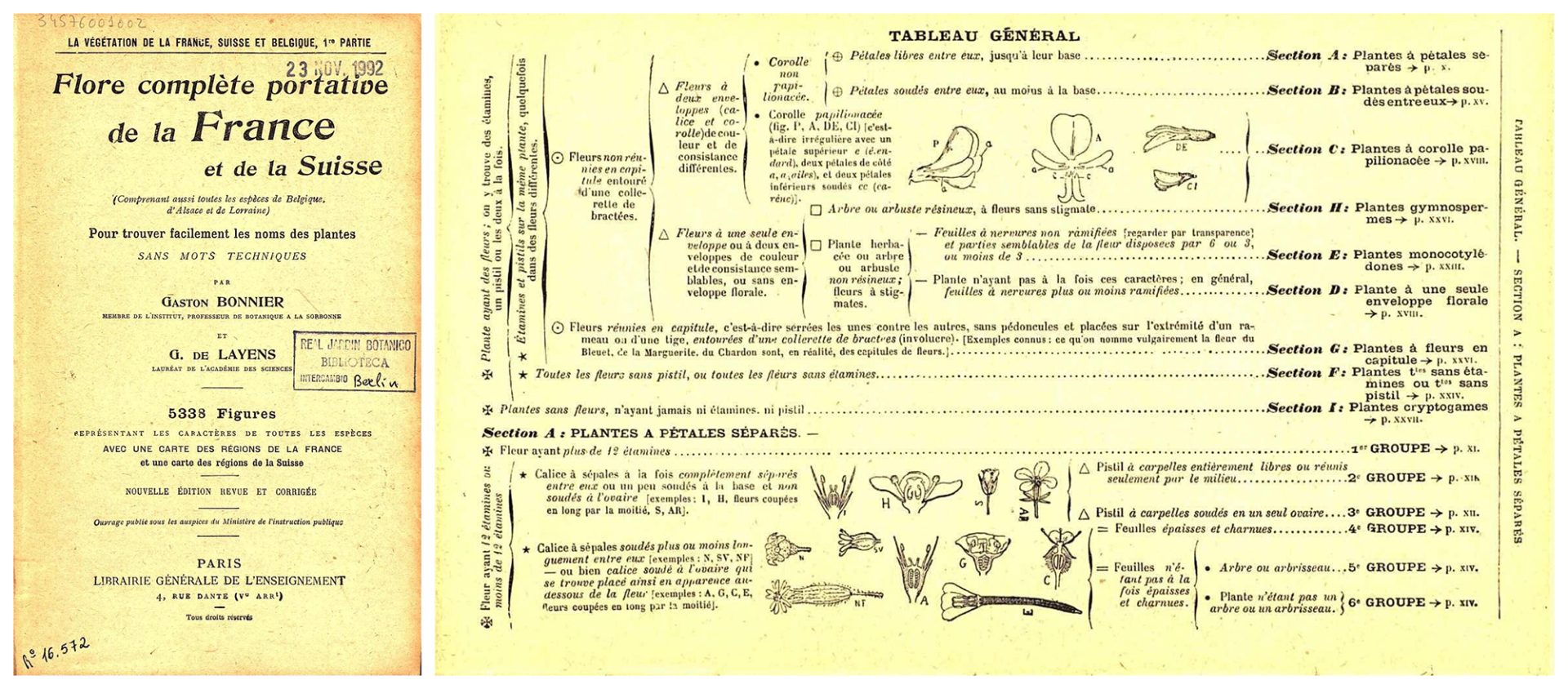 Real Jardín Botánico