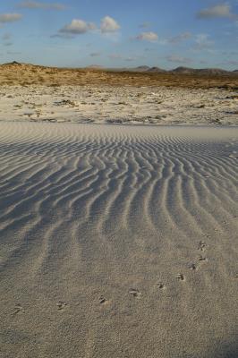 Desierto arenoso de Fuerteventura.