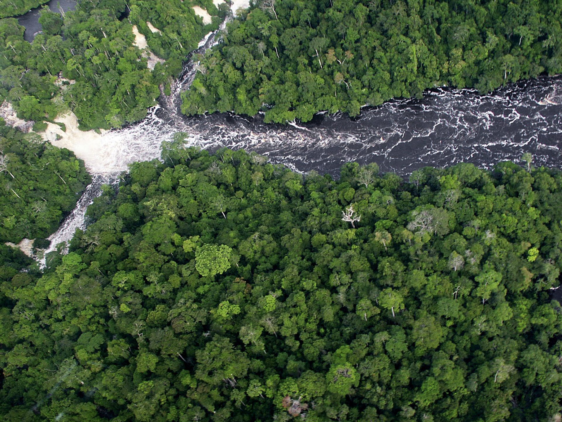 El río Ogooué, el más largo de Gabón que atraviesa el país de este a oste y cruza por varias reservas naturales, como el Parque Nacional de Lopé.